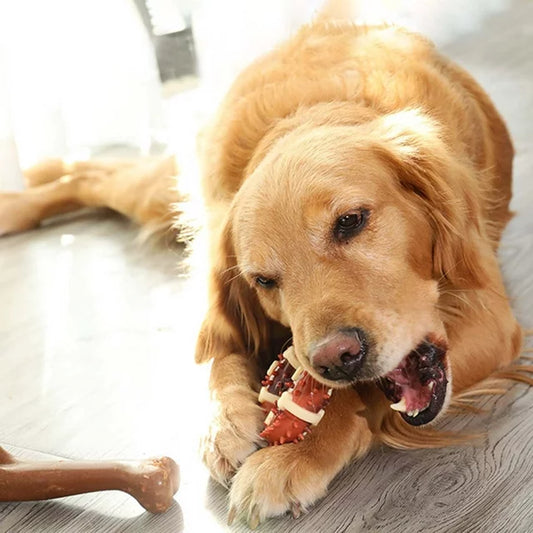 Dental Chewing Toy