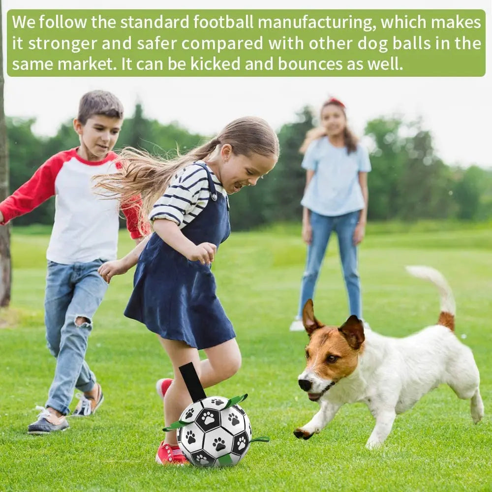 Specially Designed Dog Football