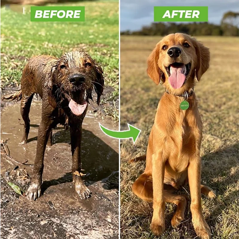 Dog Shower Gun